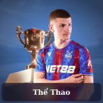 the thao 98hub