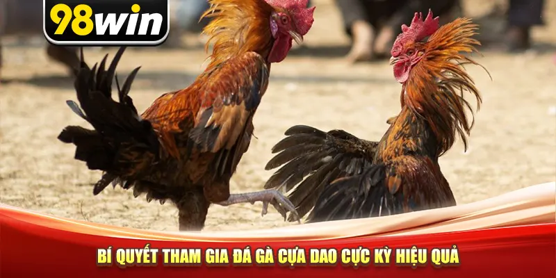 Bí quyết tham gia đá gà cựa dao cực kỳ hiệu quả