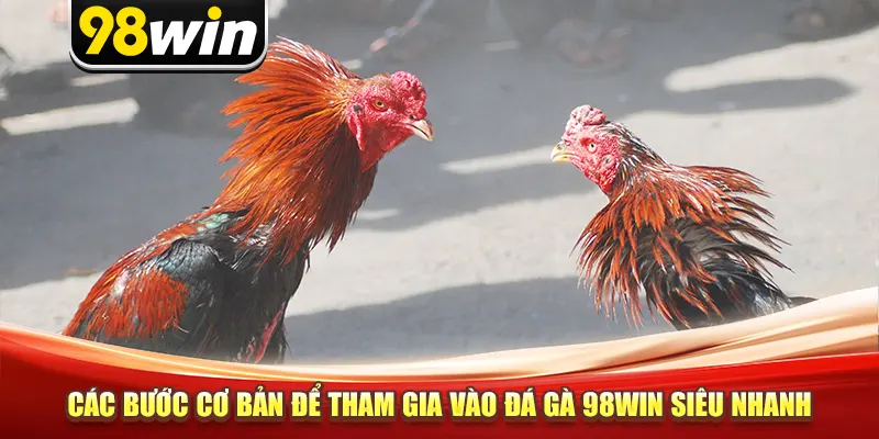 Các bước cơ bản để tham gia vào đá gà 98win siêu nhanh
