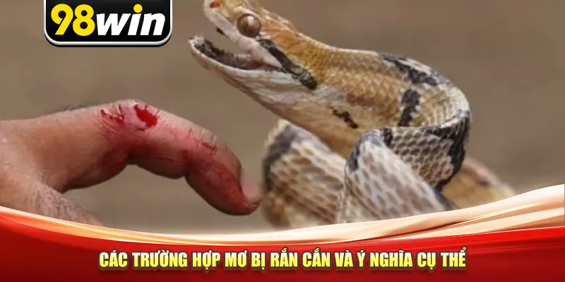 Các trường hợp mơ bị rắn cắn và ý nghĩa cụ thể