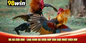 Đá Gà Cựa Dao - Loại Hình Gà Chọi Hấp Dẫn Bậc Nhất Hiện Nay