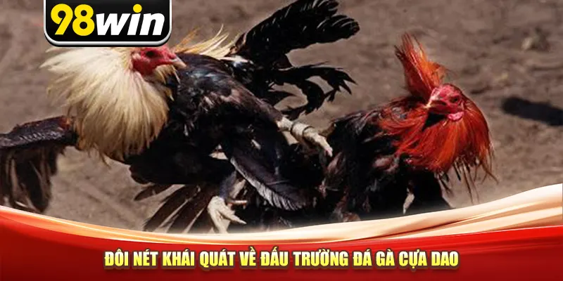 Đôi nét khái quát về đấu trường đá gà cựa dao