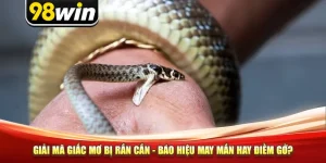 Giải Mã Giấc Mơ Bị Rắn Cắn - Báo Hiệu May Mắn Hay Điềm Gở?