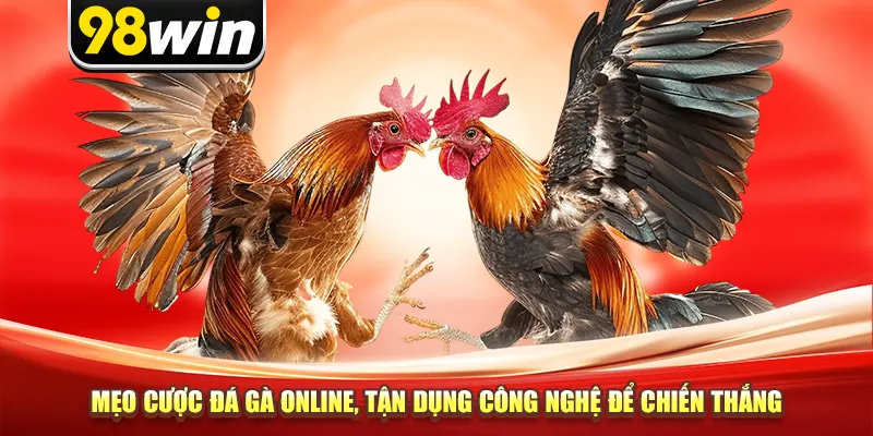 Mẹo cược đá gà online, tận dụng công nghệ để chiến thắng
