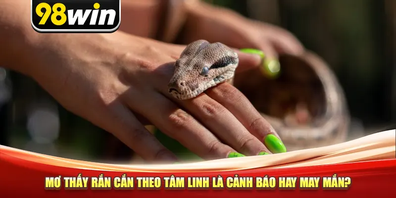 Mơ thấy rắn cắn theo tâm linh là cảnh báo hay may mắn?