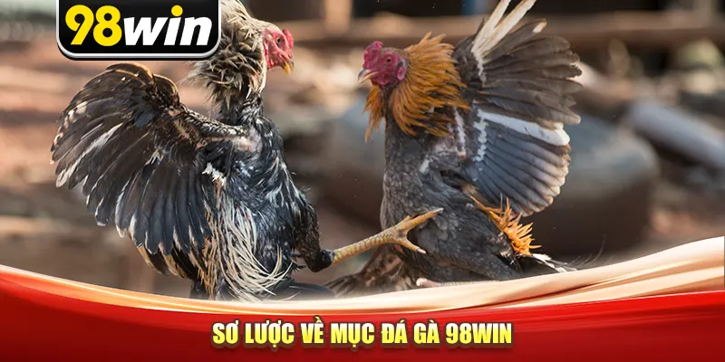 Sơ lược về mục đá gà 98win